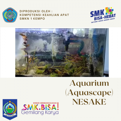 Aquarium / Aquascape
